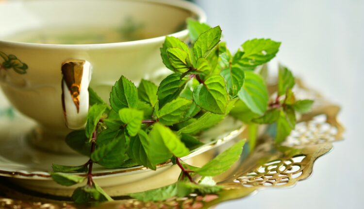 علاج التهاب المسالك البولية بالأعشاب