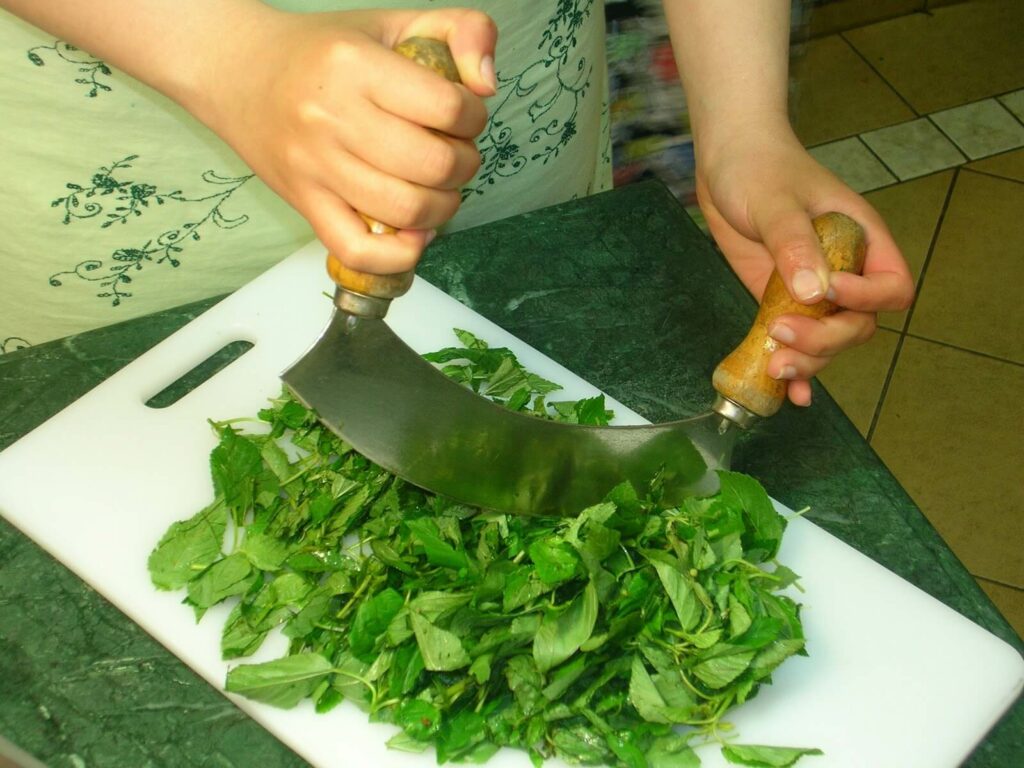 طريقة طبخ الملوخية الخضراء المصرية