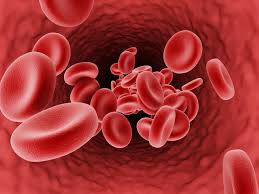 فوائد التبرع بالدم للرياضيين